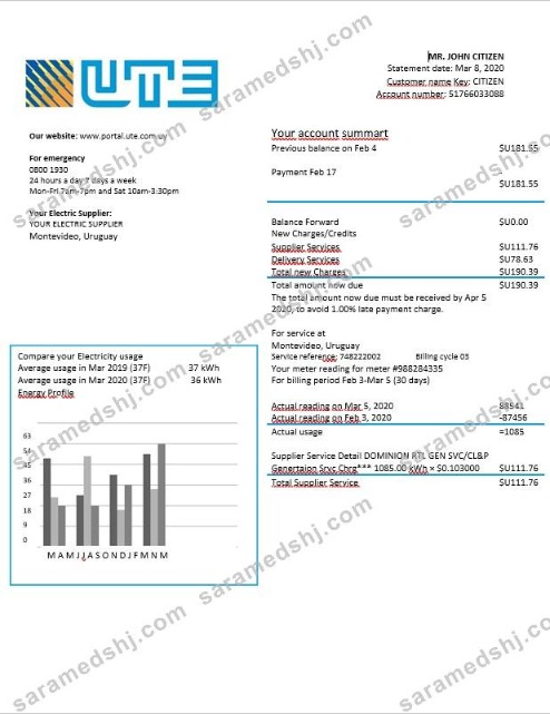 Uruguay UTE electricity bill in Word format
